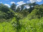 Land For Sale Aparakka