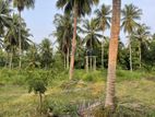 Land for Sale Arachchikattuwa