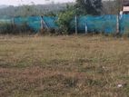 Land for Sale – Aramanagolla, Horana