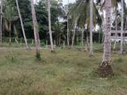 Land for Sale Asgiriwalpola