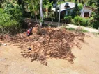 Land for Sale in Balangoda