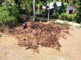 Land for Sale in Balangoda