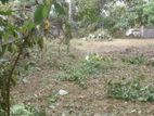 Land for Sale at Battaramulla