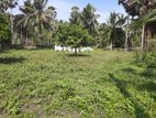 Land for Sale at Chavakachcheri Jaffna