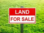 Land for Sale at Colombo 6