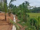 Land for Sale at Diyagama - Munamale