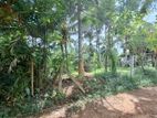 Land for Sale at Dream Village, Millewa