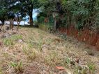 Land for Sale at Galaha Kandy