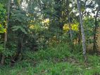 Land for Sale at Gunarathna Mawatha