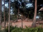 Land for Sale at Kokuvil