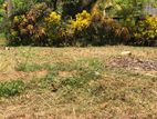Land for Sale at Koralaima, Polgasowita, Horana