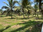 Land for Sale at Kurunegala