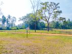 Land for Sale at Kurunegala- Ma Eliya