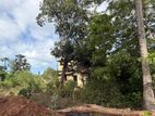 Land for Sale at Mannar