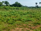 Land for Sale at Nallur