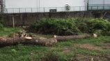 Land for Sale at Near Jaffna Hospital