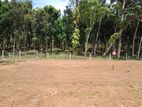 Land for Sale at Padukka Handapangoda