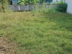 Land for Sale at Palliyawatta
