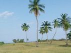 Land for Sale at Passikudah Beach Front