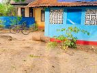 Land for Sale at Temple Road Nallur