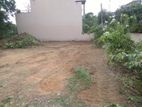 Land for Sale at Thalawathugoda