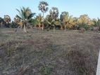 Land for Sale at Thanankilappu, Chavakachcheri – Jaffna