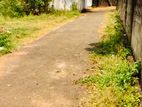 Land for sale at Thirunalvely