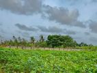 Land for sale at Urelu