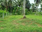 Land for Sale Aththanagalla