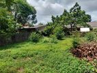 Land for Sale Athulkotte