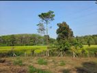 Land for Sale - Athurugiriya (EM548)