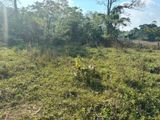 Land For Sale| Athurugiriya - Panagoda | 7 Perches