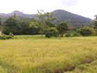 Land for Sale - Avissawella