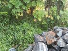 Land for Sale – Avissawella - Kosgama (EM1516)
