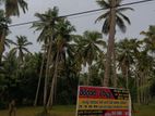 Land for Sale Badalagama Waradala