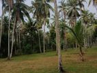 Land for Sale Badalgama - Waradala
