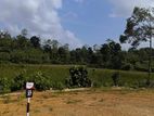 Land for Sale – Baddegama
