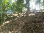 Land for Sale in Badulla