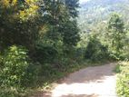 Land for Sale Bandarawela