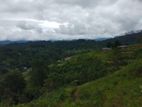 Land for Sale Badulla Bandarawela