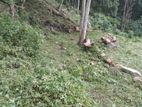 Land for Sale Badulla