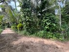 Land for Sale Balangoda Dahamana