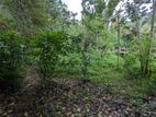 Land for Sale – Balangoda
