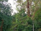 Land for Sale Ballaketuwa Ella