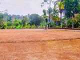 Land for Sale Ballapitiya