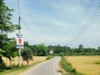 Land for Sale Ballapitiya