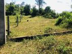 Land for Sale Ballapitiya-Horana