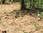Land for Sale Bandaragama