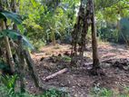 LAND FOR SALE BANDARAGAMA