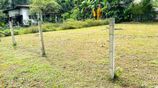 Land For Sale Bandaragama